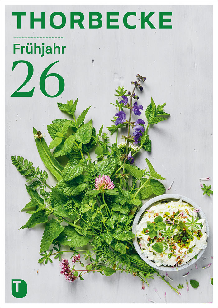 Hier können Sie das blätterbare PDF zur Vorschau Jan Thorbecke Verlag Lebensart Frühjahr 2026 öffnen Cover der Vorschau Jan Thorbecke Verlag Lebensart Frühjahr 2026